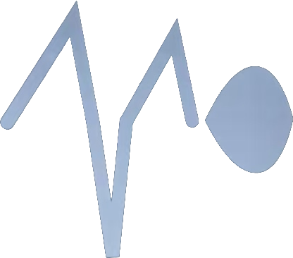 NextPulse Pro Logo